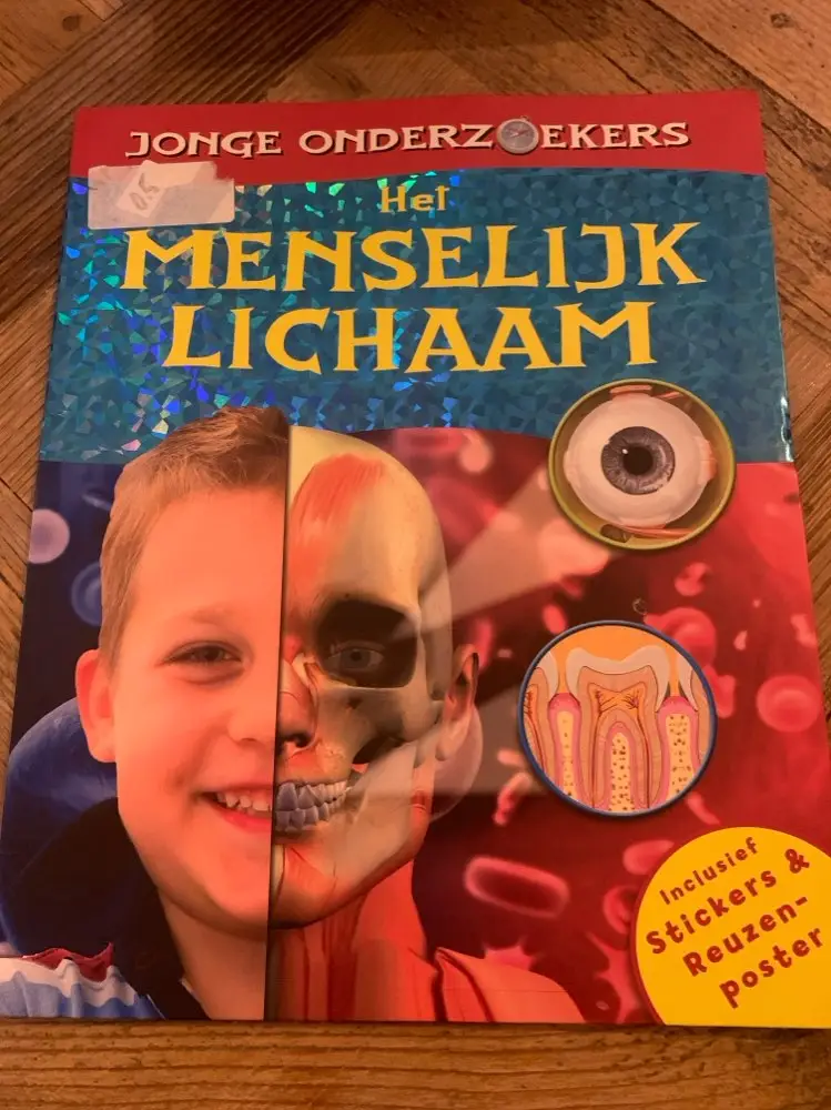 Het menselijk lichaam